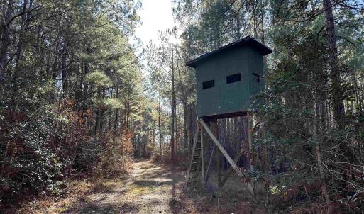 Photo #1 of 821 Lake City Hwy., Johnsonville, SC 149.0 acres