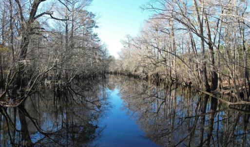 Photo #18 of 821 Lake City Hwy., Johnsonville, SC 149.0 acres