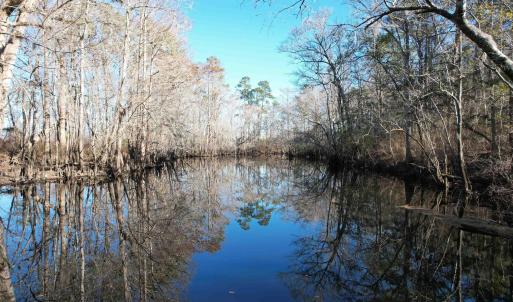 Photo #25 of 821 Lake City Hwy., Johnsonville, SC 149.0 acres