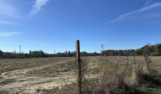 Photo #17 of 821 Lake City Hwy., Johnsonville, SC 149.0 acres
