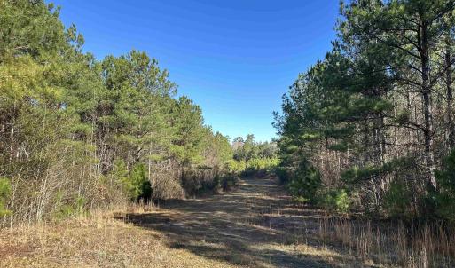 Photo #12 of 821 Lake City Hwy., Johnsonville, SC 149.0 acres