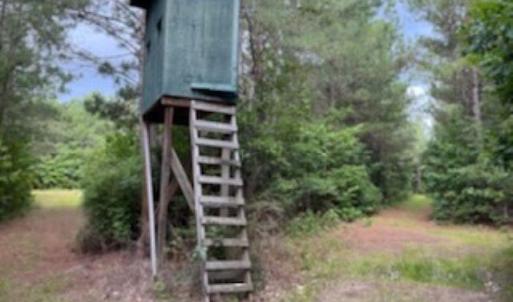 Photo #9 of 821 Lake City Hwy., Johnsonville, SC 149.0 acres
