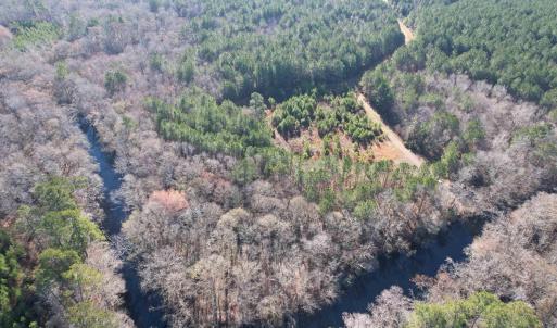 Photo #24 of 821 Lake City Hwy., Johnsonville, SC 149.0 acres