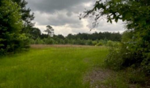 Photo #11 of 821 Lake City Hwy., Johnsonville, SC 149.0 acres