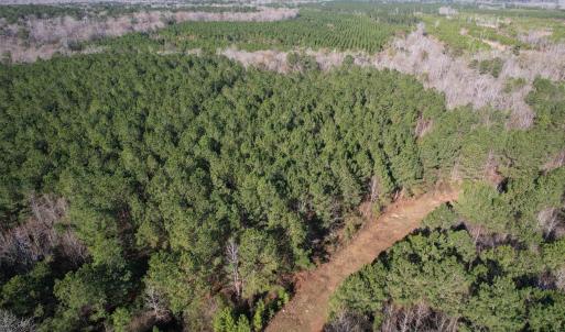 Photo #19 of 821 Lake City Hwy., Johnsonville, SC 149.0 acres
