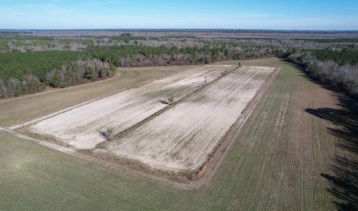 Photo #20 of 821 Lake City Hwy., Johnsonville, SC 149.0 acres