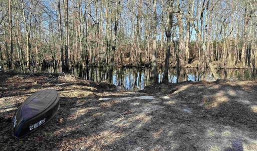 Photo #3 of 821 Lake City Hwy., Johnsonville, SC 149.0 acres