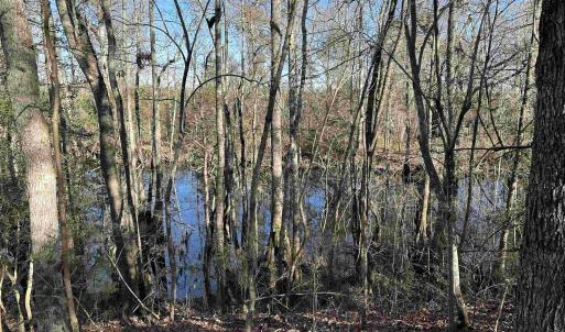 Photo #14 of 821 Lake City Hwy., Johnsonville, SC 149.0 acres