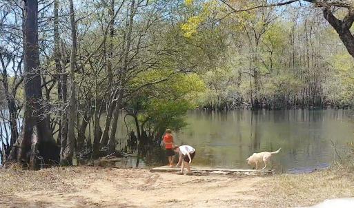 Photo #2 of Lot 7 Black Island Rd., Galivants Ferry, SC 0.8 acres