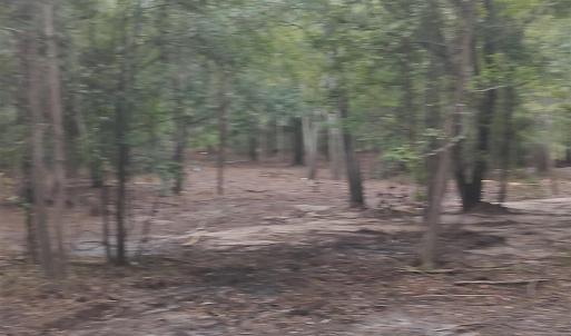 Photo #27 of TBD Lees Landing Circle, Conway, SC 3.4 acres