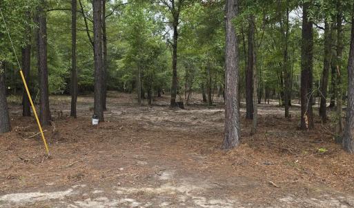 Photo #33 of TBD Lees Landing Circle, Conway, SC 3.4 acres