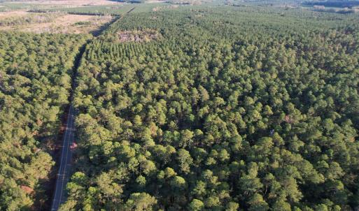 Photo #2 of TBD Roper Woods Rd., Hemingway, SC 92.5 acres