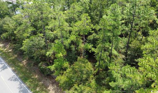 Photo #4 of TBD Highway 905, Conway, SC 4.4 acres
