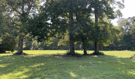 Photo #8 of 2801 Little River Neck Rd., North Myrtle Beach, SC 25.8 acres