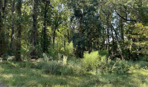 Photo #29 of 2801 Little River Neck Rd., North Myrtle Beach, SC 25.8 acres