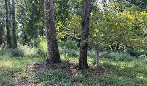 Photo #31 of 2801 Little River Neck Rd., North Myrtle Beach, SC 25.8 acres