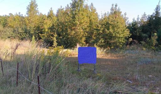 Photo #1 of TBD Guyton Ct., Marion, SC 31.5 acres