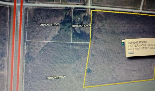 Photo #2 of TBD Guyton Ct., Marion, SC 31.5 acres