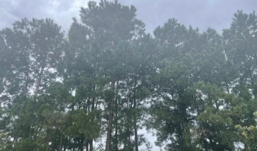 Photo #1 of TBD Della Rd., Longs, SC 1.6 acres
