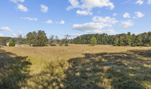 Photo #11 of Highway 701 South, Conway, SC 53.3 acres