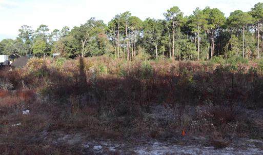 Photo #5 of 7765 Ocean Hwy., Pawleys Island, SC 3.1 acres