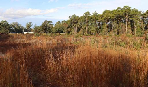 Photo #1 of 7765 Ocean Hwy., Pawleys Island, SC 3.1 acres