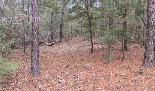 Photo #1 of TBD Persimmon Ford Rd., Johnsonville, SC 8.2 acres