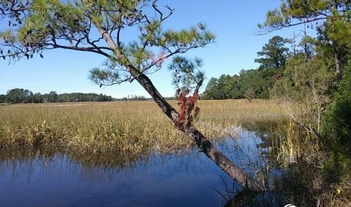 Photo #12 of Slip 28 Friendfield Marina, Georgetown, SC 0.0 acres