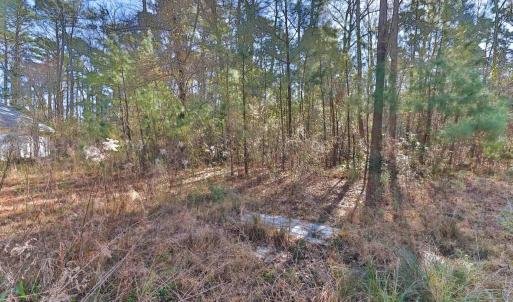 Photo #4 of 4231 Roscoe Rd., Myrtle Beach, SC 1.5 acres