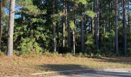 Photo #1 of 114 Finnegan Ct., Myrtle Beach, SC 0.7 acres