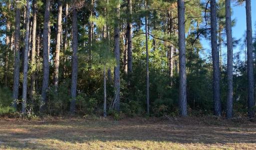 Photo #3 of 114 Finnegan Ct., Myrtle Beach, SC 0.7 acres