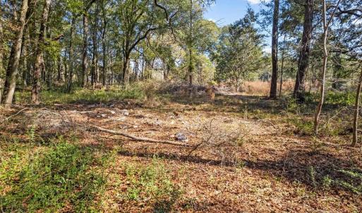 Photo #15 of 2221 Hwy 17 S, Little River, SC 1.4 acres