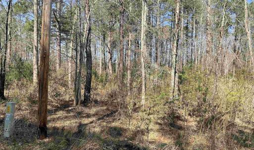 Photo #4 of TBD Florence Ln., Kingstree, SC 1.9 acres