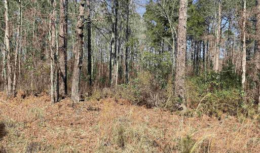 Photo #1 of TBD Florence Ln., Kingstree, SC 1.9 acres