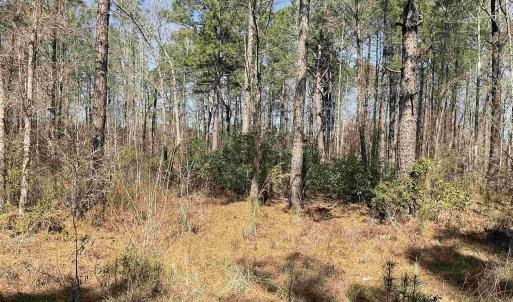 Photo #2 of TBD Florence Ln., Kingstree, SC 1.9 acres