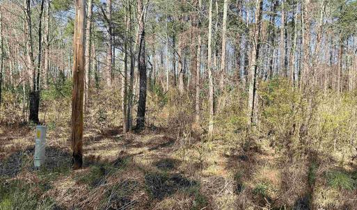 Photo #3 of TBD Florence Ln., Kingstree, SC 1.9 acres