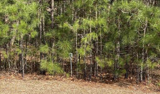 Photo #3 of 634 McCown Dr., Conway, SC 0.7 acres