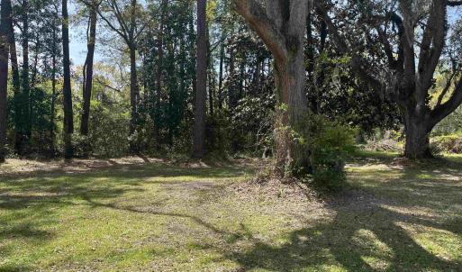Photo #2 of 221 Robert Conway Ct., Georgetown, SC 0.3 acres