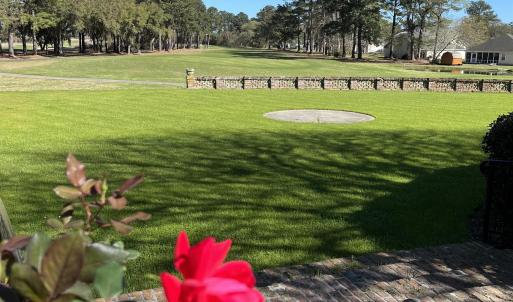 Photo #7 of 221 Robert Conway Ct., Georgetown, SC 0.3 acres
