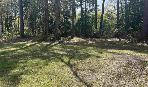 Photo #3 of 221 Robert Conway Ct., Georgetown, SC 0.3 acres
