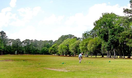Photo #9 of 221 Robert Conway Ct., Georgetown, SC 0.3 acres