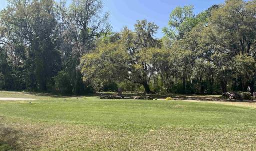 Photo #5 of 221 Robert Conway Ct., Georgetown, SC 0.3 acres