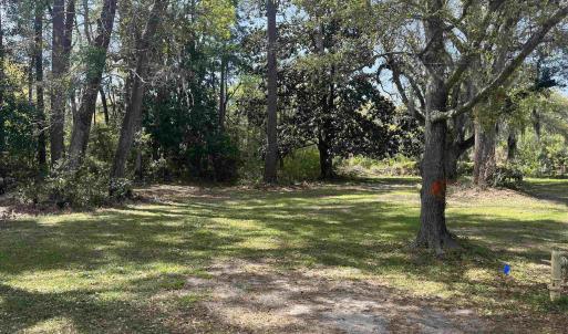 Photo #1 of 221 Robert Conway Ct., Georgetown, SC 0.3 acres