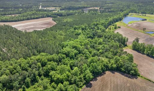 Photo #6 of TBD Daisy Rd., Loris, SC 7.6 acres
