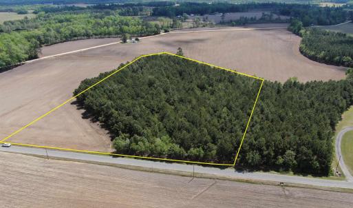Photo #11 of TBD McClellan Rd., Hamer, SC 7.8 acres