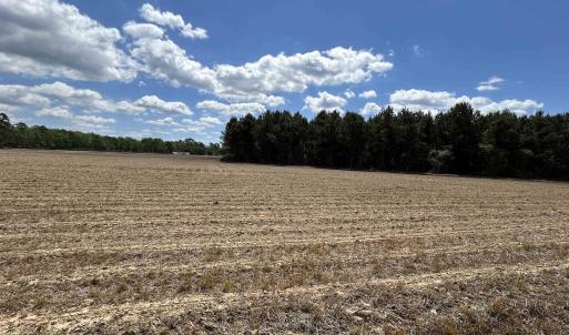 Photo #15 of TBD McClellan Rd., Hamer, SC 7.8 acres