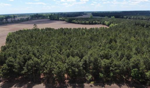 Photo #4 of TBD McClellan Rd., Hamer, SC 7.8 acres