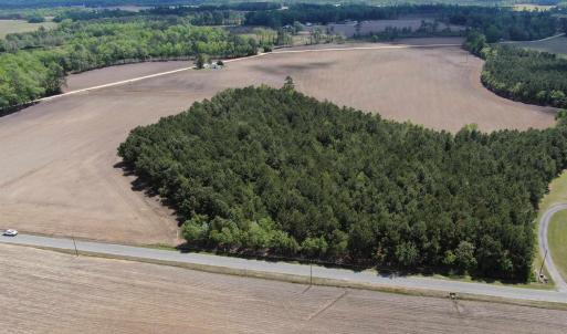 Photo #5 of TBD McClellan Rd., Hamer, SC 7.8 acres