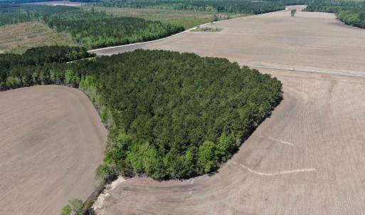 Photo #6 of TBD McClellan Rd., Hamer, SC 7.8 acres