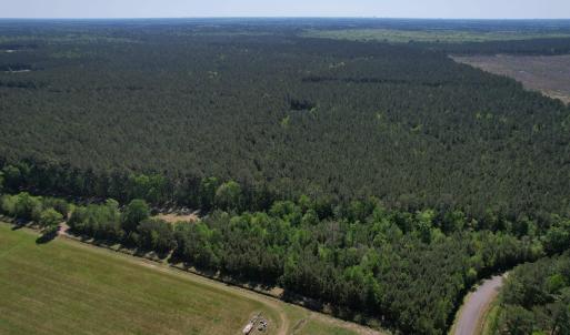 Photo #7 of TBD Cain Wilson Rd., Conway, SC 47.8 acres